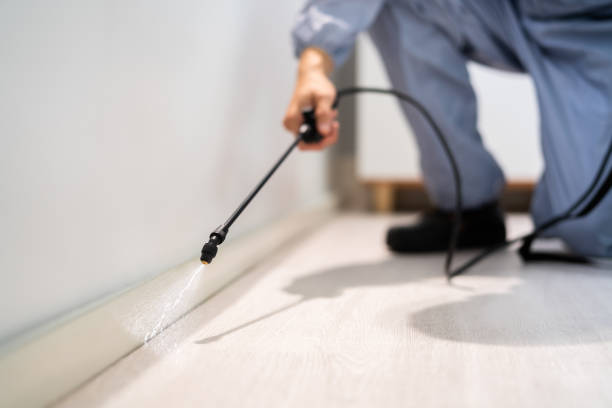 Licensed Termite Control service in Dania Beach, FL - Nex Pest Control