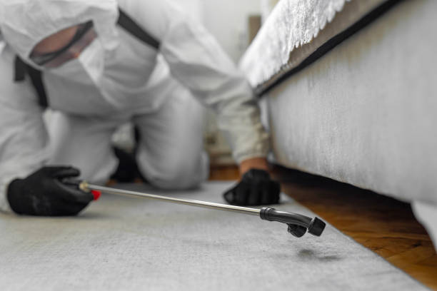Professional Termite Control technician working in Dania Beach, FL