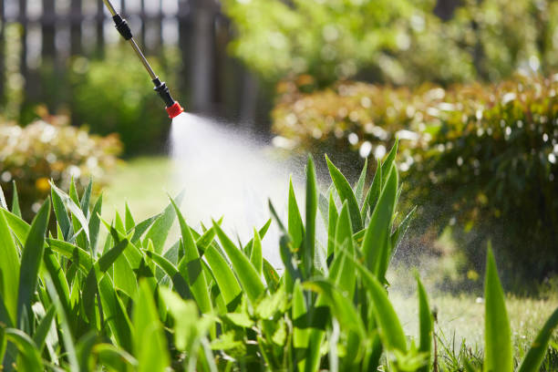 24/7 Emergency Termite Control experts in Dania Beach, FL