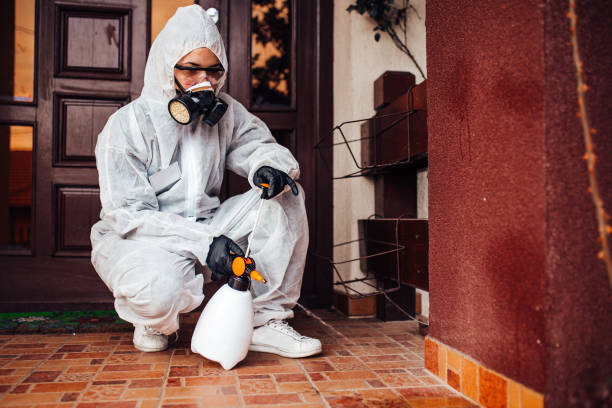 Reliable Termite Control contractor in Dania Beach, FL by Nex Pest Control